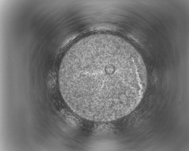 X0000058770824200510171223