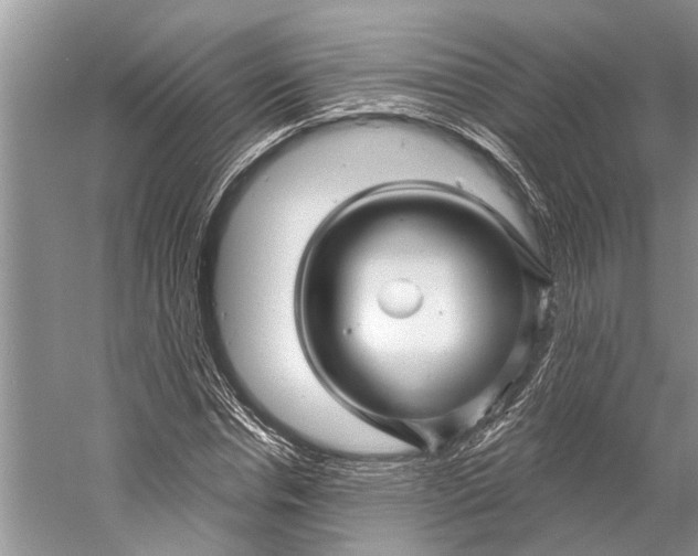 X0000058770826200510171223