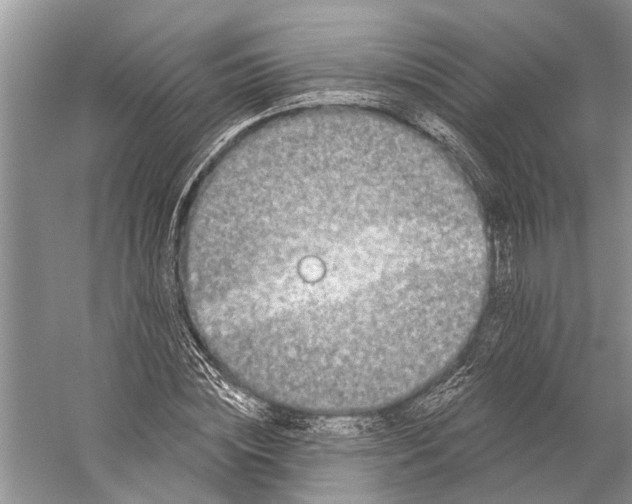 X0000058770828200510171223