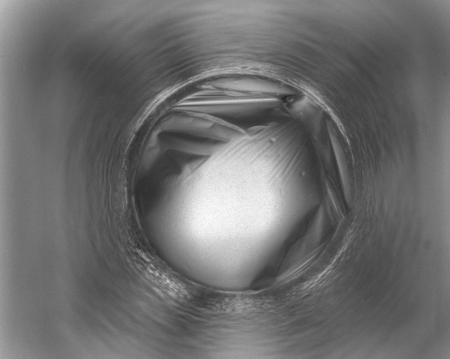 X0000058770829200510171223