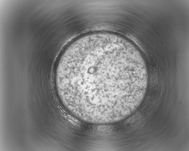 X0000058770832200510171224