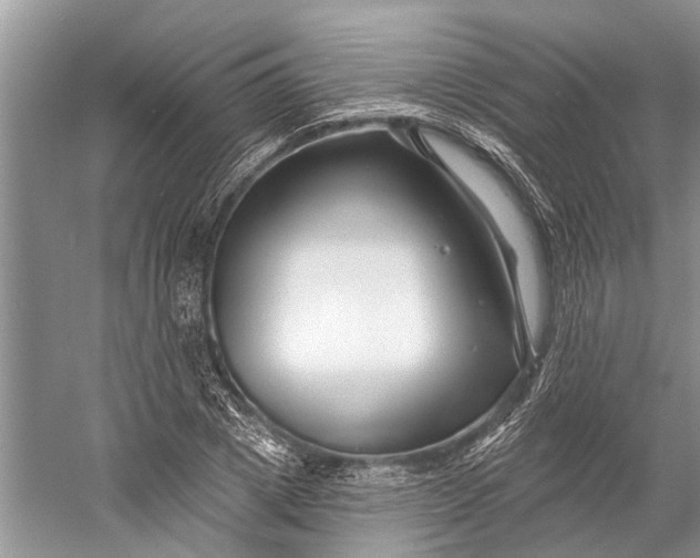 X0000058770833200510171224