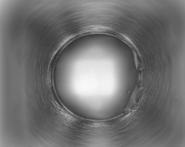 X0000058770835200510171224