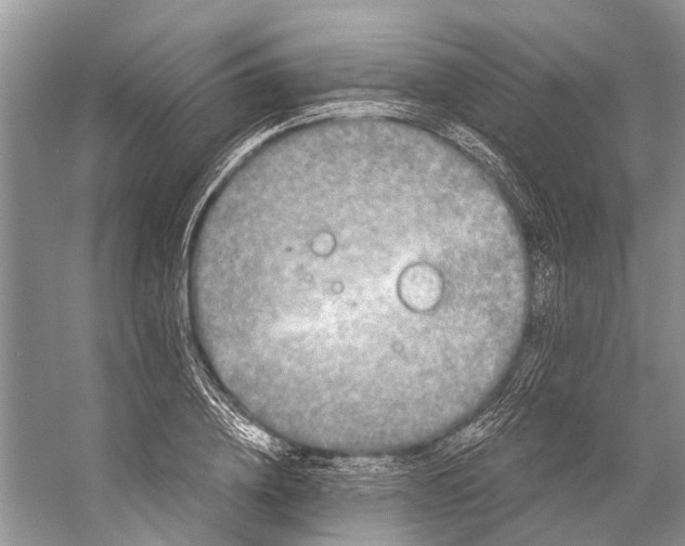 X0000058770836200510171224