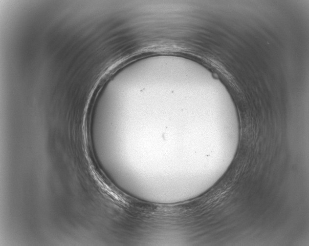 X0000058770840200510171224