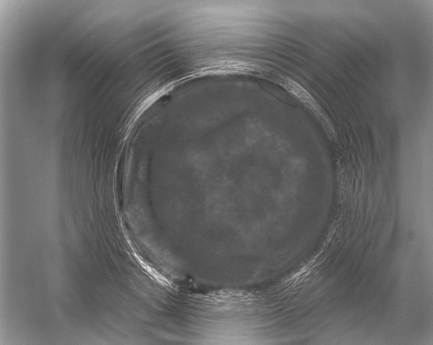 X0000058770842200510171224