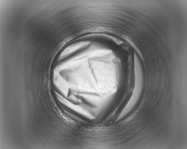 X0000058770845200510171224