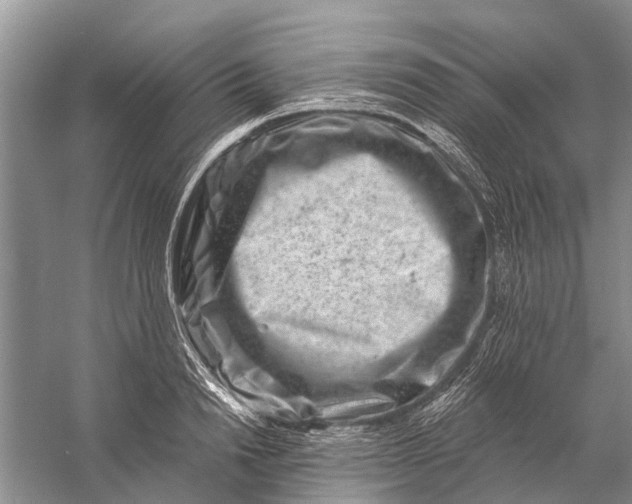 X0000058770846200510171224