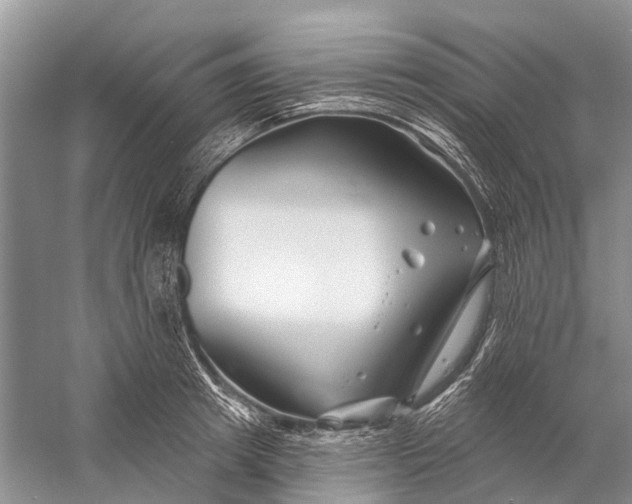 X0000058770849200510171224