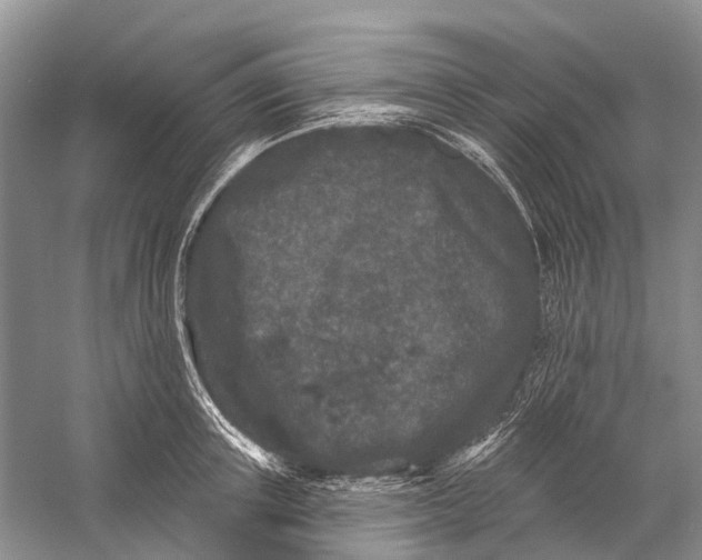 X0000058770851200510171224