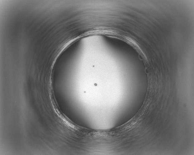 X0000058770852200510171224