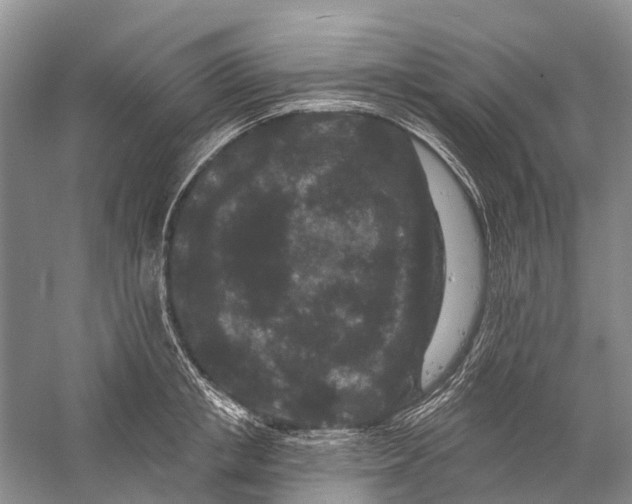 X0000058770853200510171224