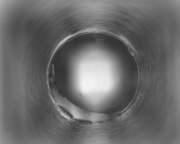 X0000058770854200510171224