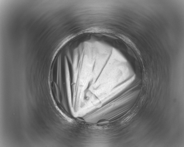 X0000058770855200510171224