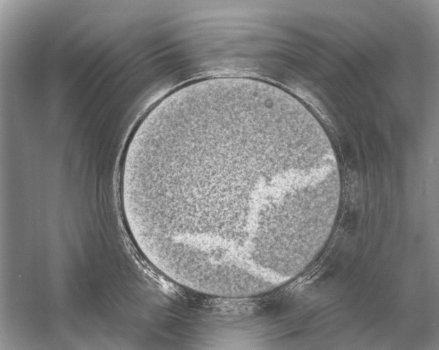 X0000058770856200510171224