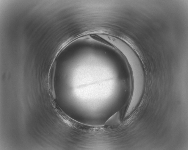 X0000058770858200510171224