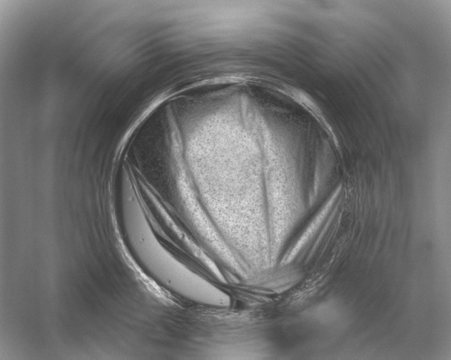 X0000058770859200510171224