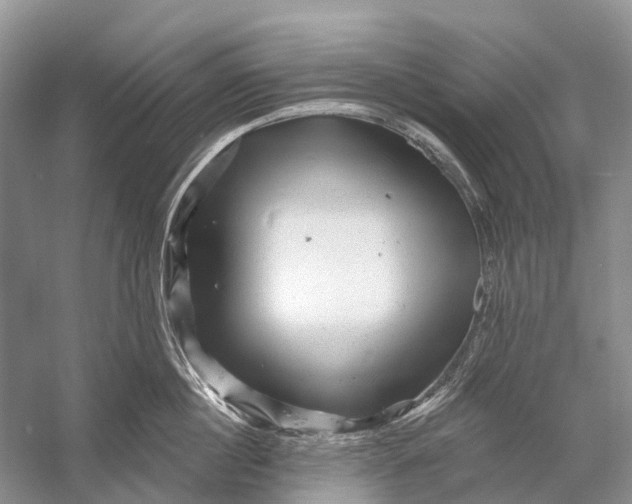 X0000058770860200510171224