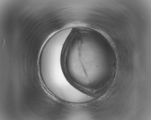 X0000058770864200510171224