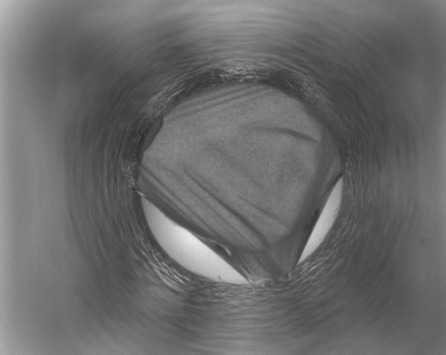 X0000058770868200510171223