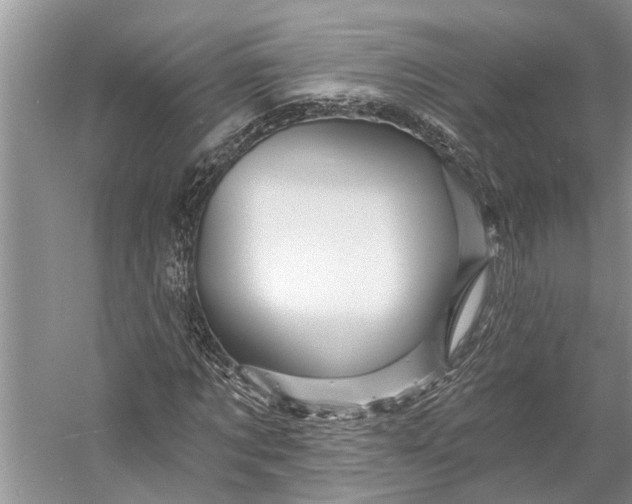 X0000058770869200510171223