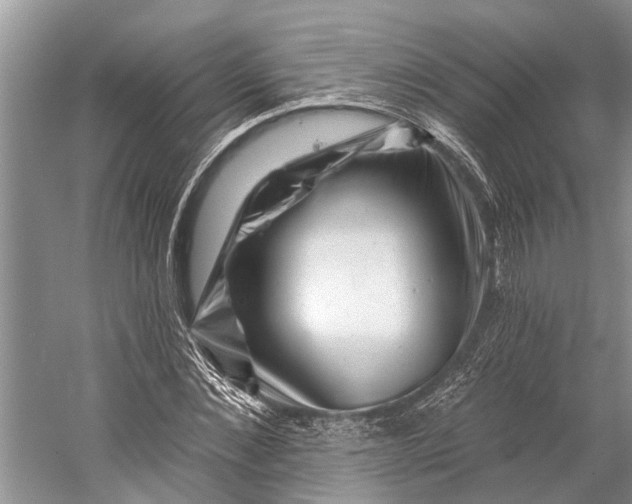 X0000058770876200510171223