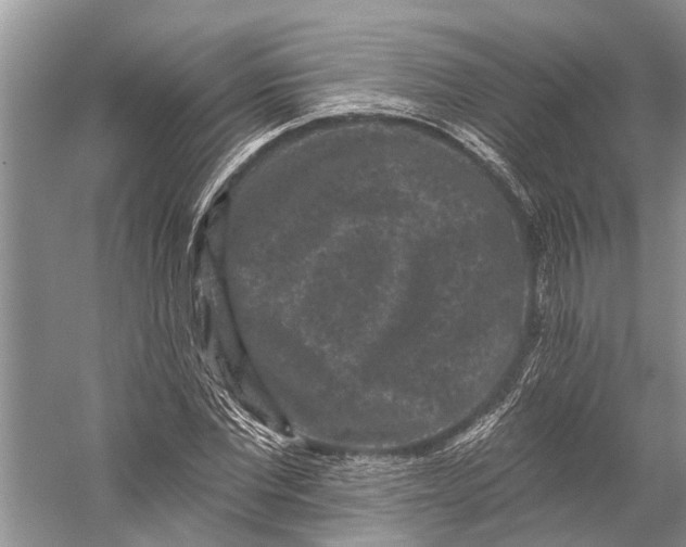 X0000058770877200510171223