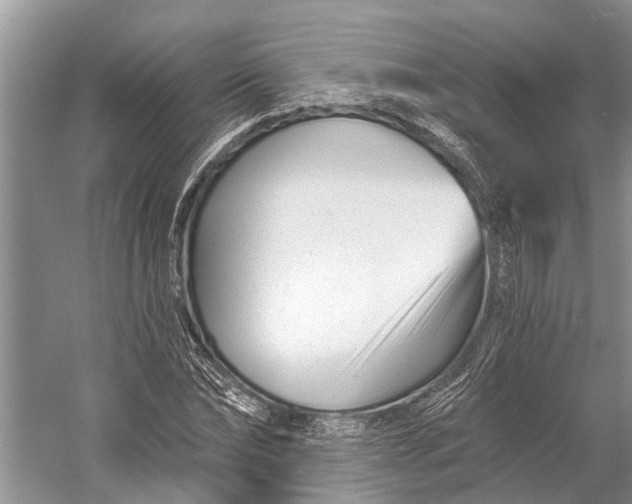 X0000058770878200510171223