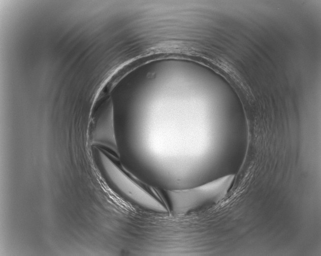 X0000058770880200510171223