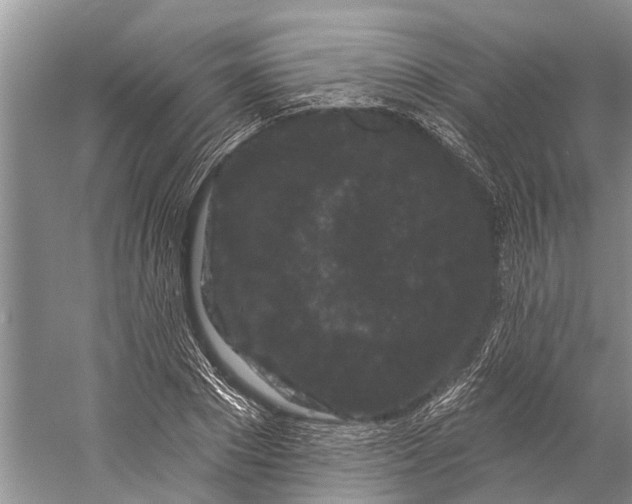 X0000058770881200510171223