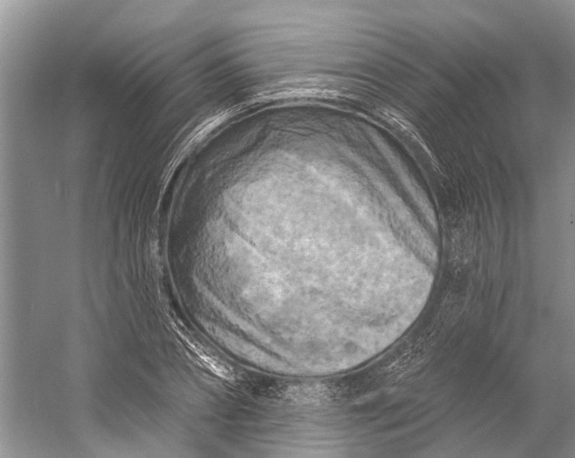 X0000058770882200510171223