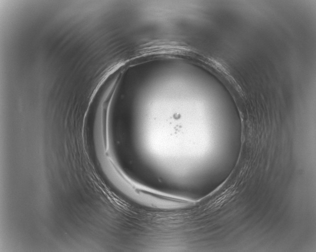 X0000058770883200510171223