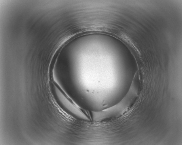 X0000058770884200510171223