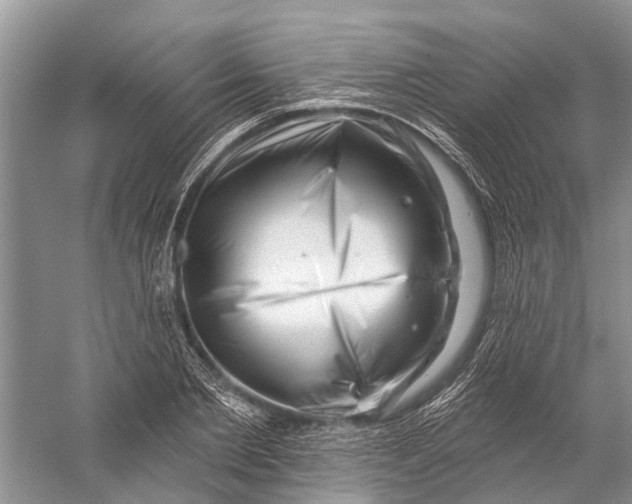 X0000058770885200510171223