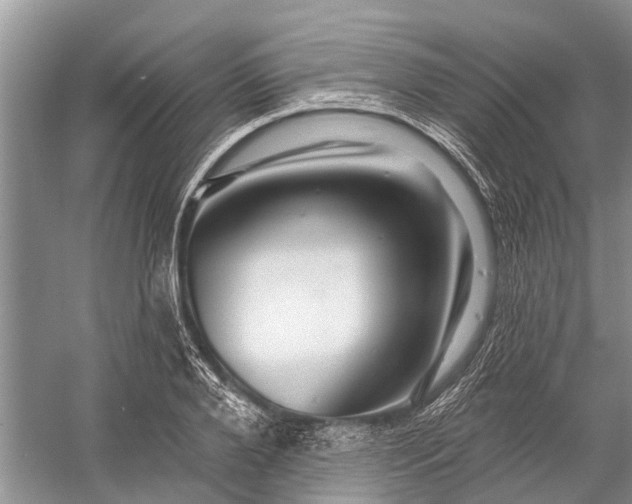 X0000058770888200510171223