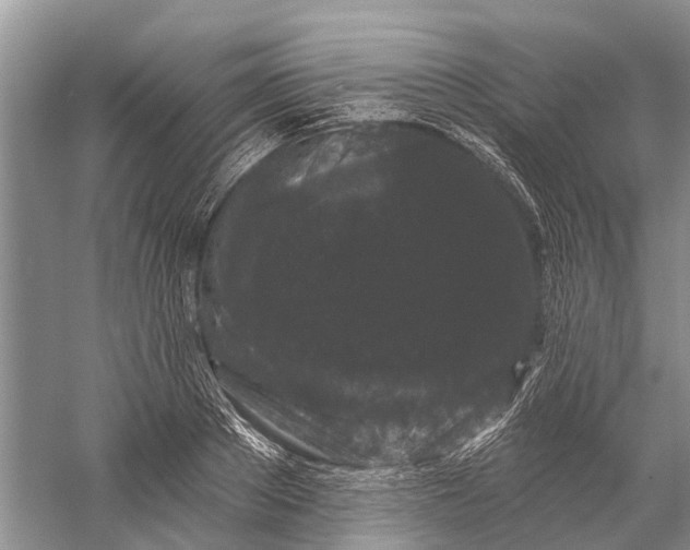 X0000058770889200510171223