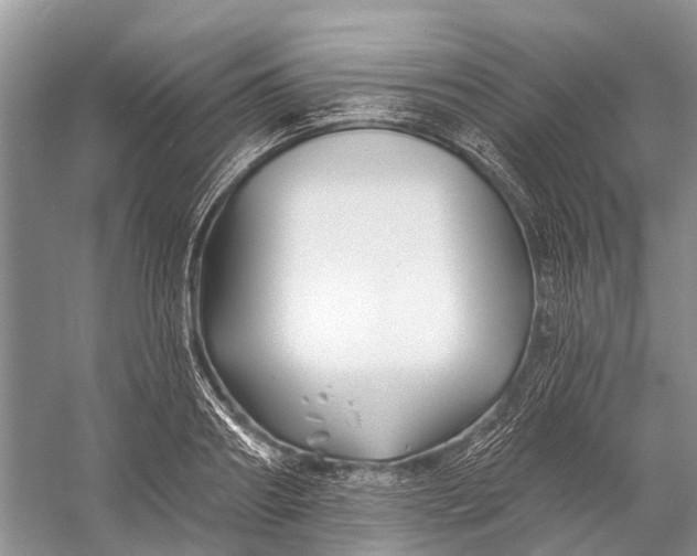 X0000058770890200510171223