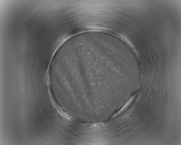 X0000058770891200510171223