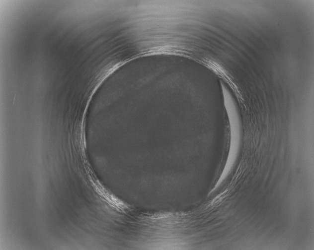 X0000058770892200510171223