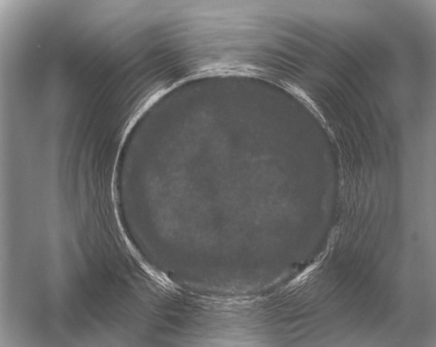 X0000058770893200510171223