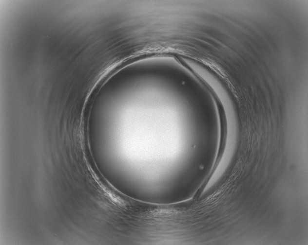 X0000058770894200510171223