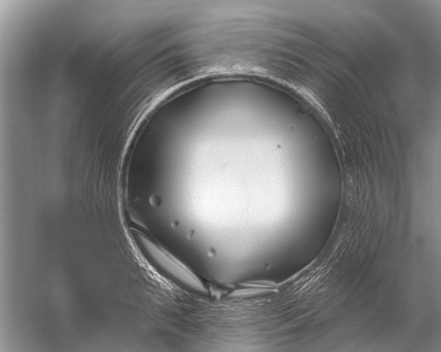 X0000058770895200510171223