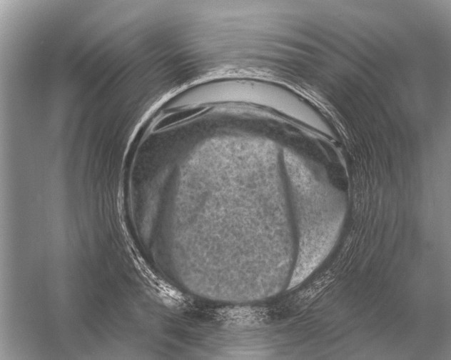 X0000058770896200510171223