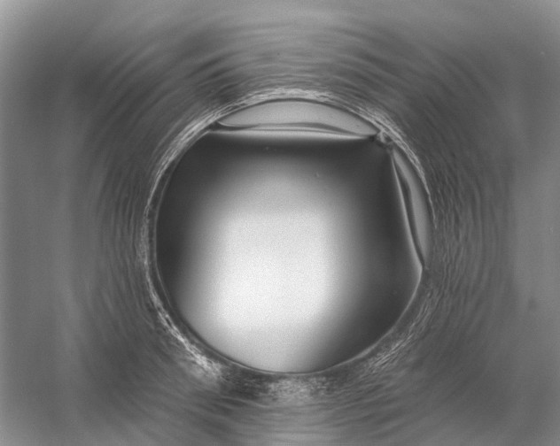 X0000058770898200510171223