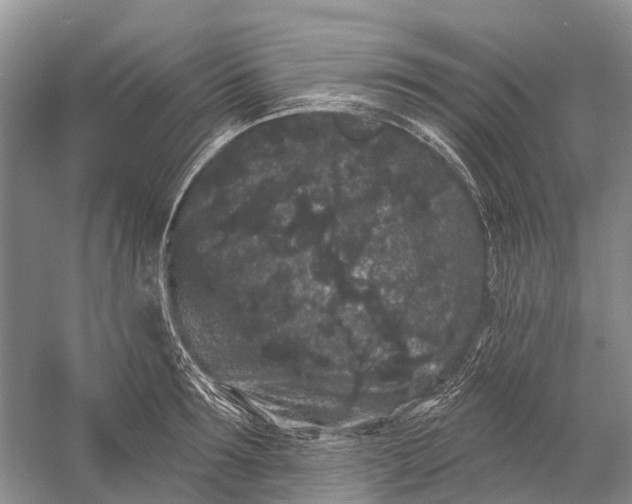 X0000058770899200510171223