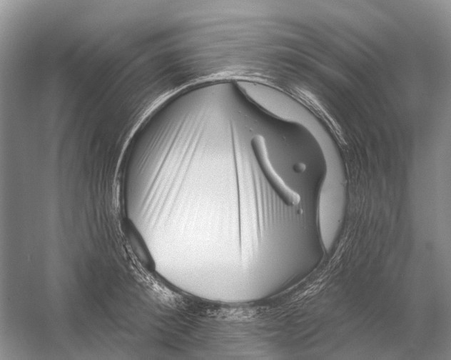 X0000058770900200510171223