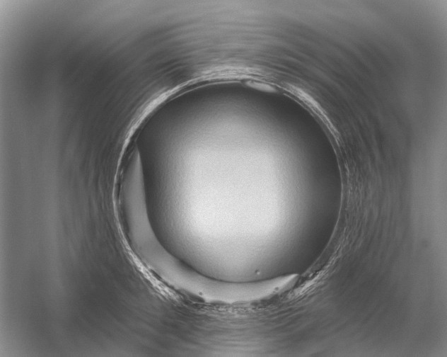 X0000058770901200510171223