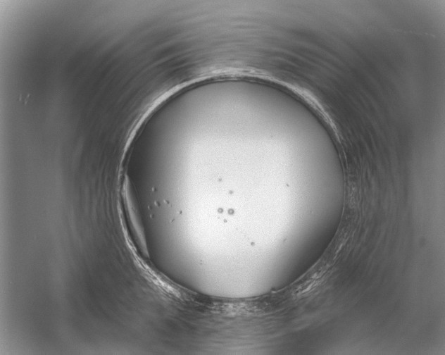 X0000058770903200510171223