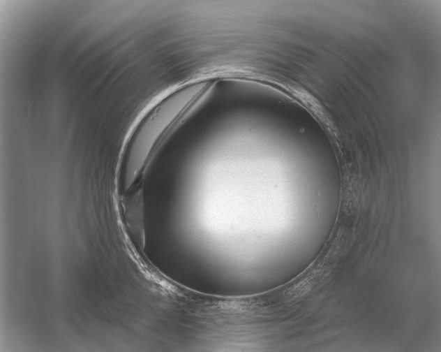 X0000058770904200510171222