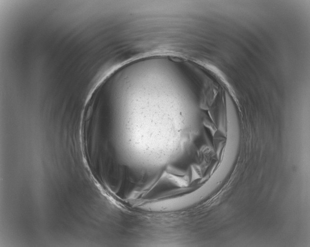 X0000058770910200510171222